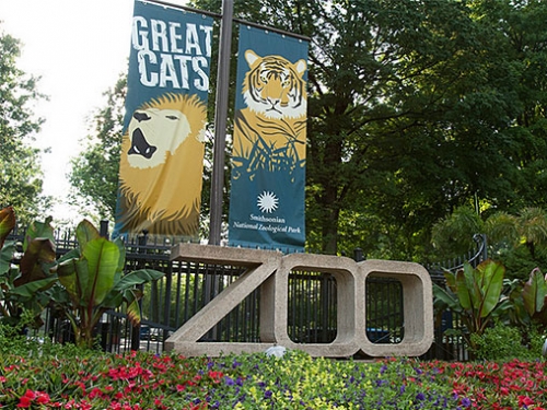 Photo of block concrete letters spelling ZOO sitting in landscaped flower beds.